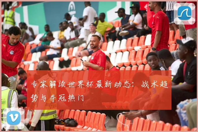 专家解读世界杯最新动态:战术趋势与夺冠热门