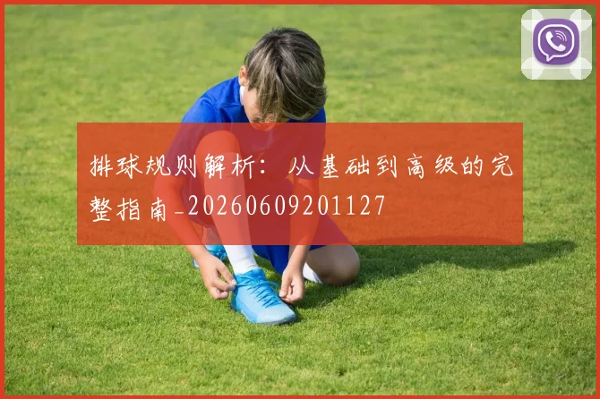 排球规则解析：从基础到高级的完整指南_20260609201127